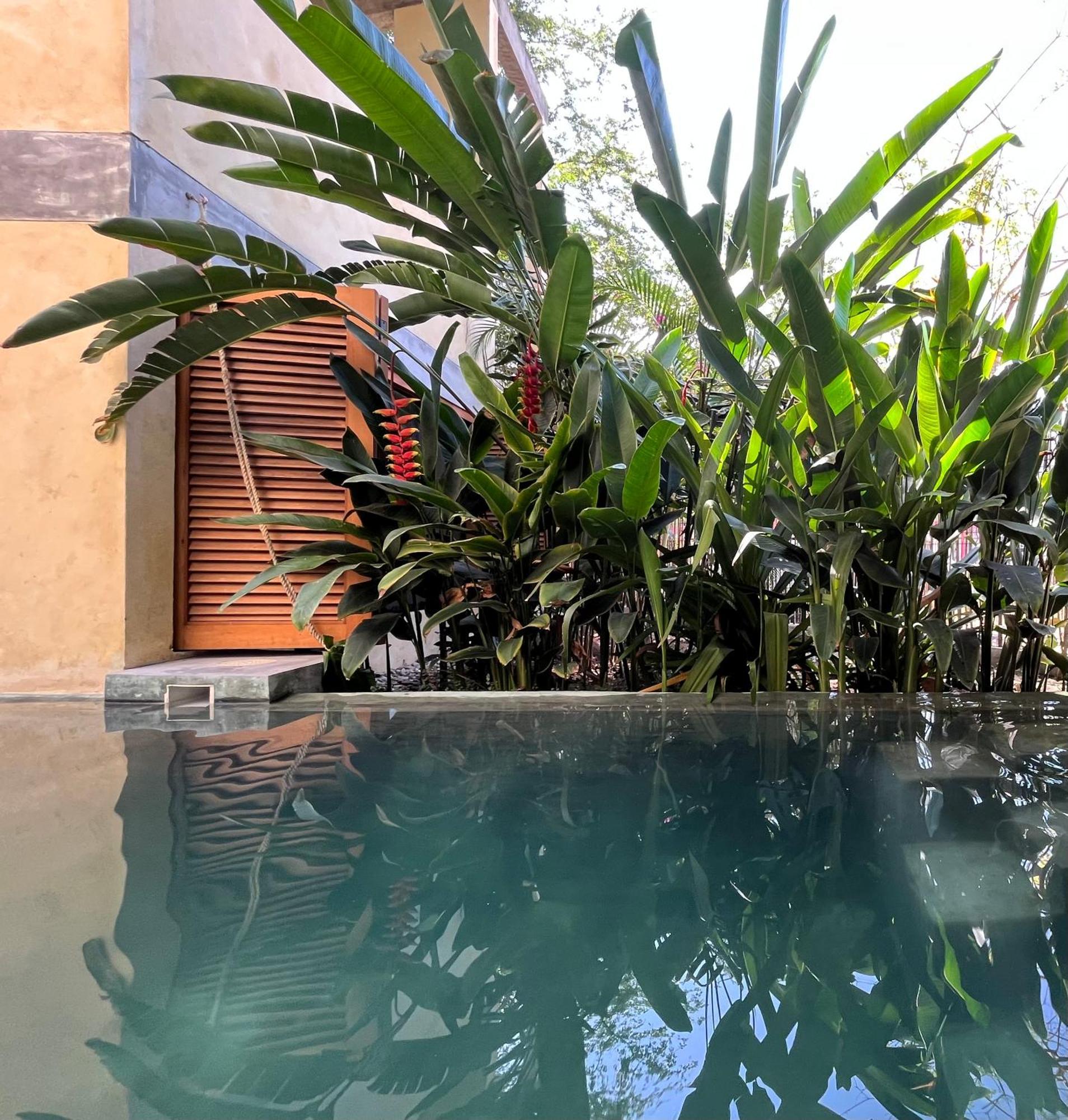 Апартаменты Agua De Coco Пуэрто-Эскондидо Экстерьер фото